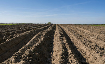 耕种农业场景观农业土地最近耕种准备作物阳光明媚的一天蓝色的天空农业