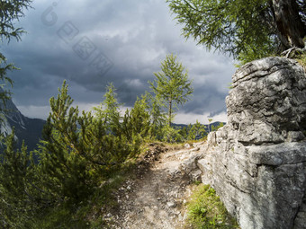 路径山通过岩石格力松柏科的树美丽的视图景观<strong>白云石山脉</strong>moutains背景南提洛尔意大利阿尔卑斯捕获行动相机