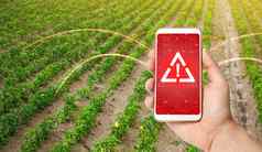 电话警告危险甜蜜的胡椒种植园农场场监控分析存在化学物质重金属污染辐射塑料微粒作物
