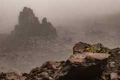密集的雾颠覆了峰哈雷阿卡拉火山毛伊岛夏威夷