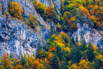山秋天景观色彩斑斓的森林色彩斑斓的森林