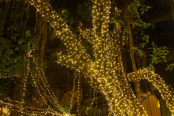 装饰户外字符串灯挂树花园晚上时间节日季节装饰圣诞节灯