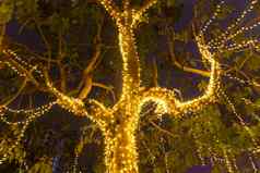 装饰户外字符串灯挂树花园晚上时间节日季节装饰圣诞节灯