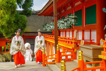 婚礼仪式<strong>春日</strong>大社神社奈良