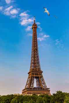 巴黎埃菲尔铁塔塔河他的日落巴黎法国