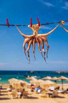 章鱼干燥太阳克里特岛希腊欧洲章鱼干燥