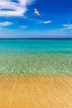 美丽的绿松石海滩falasarnafalassarna克里特岛希腊