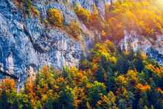 山秋天景观色彩斑斓的森林色彩斑斓的森林