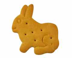 动物形状的饼干兔子