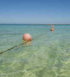 浮动浮标绳子热带海洋环礁湖