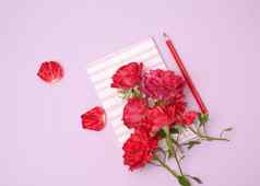 关闭笔记本花束红色的玫瑰紫色的使用