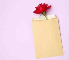 红色的盛开的玫瑰棕色（的）纸信封紫色的使用