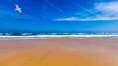 沙滩上bordeira海滩carrapateira葡萄牙沙滩上