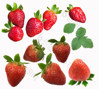 集成熟的<strong>草莓</strong>孤立的