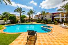 游泳池太阳椅棕榈树温暖的阳光明媚的