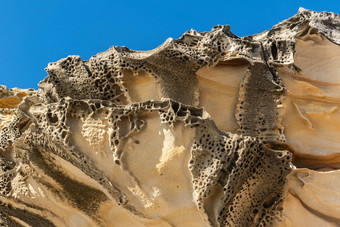 细节南悬崖岩石勃朗特海滩悉尼澳大利亚