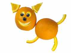 有趣的水果橙子狗