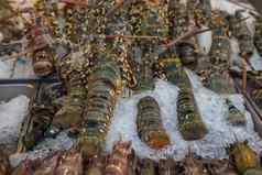 新鲜的生龙虾虾泰国海鲜市场