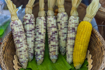 煮熟的玉米出售泰国街食物市场