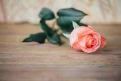 粉红色的玫瑰花木地板上情人节一天