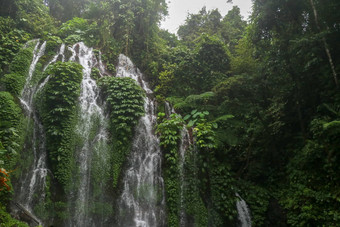 美丽的风景优美的<strong>瀑布高山</strong>巴厘岛岛水流流玻璃生长郁郁葱葱的热带植被banyumalaamertha<strong>瀑布</strong>印尼