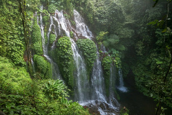 美丽的风景优美的瀑布高山巴厘岛岛水流流玻璃生长郁郁葱葱的热带植被banyumalaamertha瀑布印尼