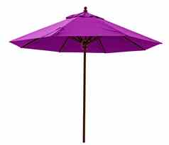 紫色的海滩伞