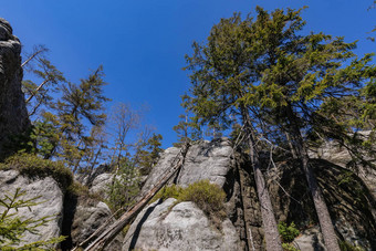 <strong>桌子山</strong>国家公园路径岩石迷宫徒步旅行