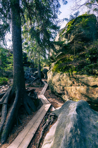 <strong>桌子山</strong>国家公园木木板路岩石拉比里