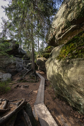 桌子山国家公园木木板路岩石拉比里