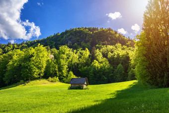 隐蔽的小屋森林山日志小屋包围