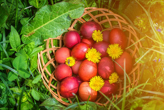 红色的复活节鸡蛋草花絮球自然