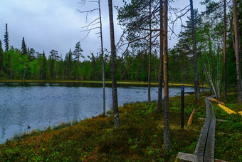 oulanka国家公园<strong>芬兰</strong>