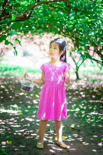 亚洲女孩桑水果花园