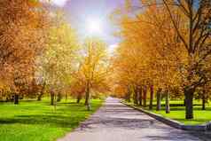 神奇的秋天公园路径神奇的发光童话土地
