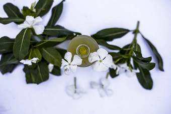 白色彩色的花叶子至关重要的Herbal<strong>排毒</strong>石油玻璃瓶孤立的白色
