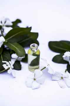白色彩色的花叶子至关重要的有机本质小透明的玻璃瓶孤立的白色