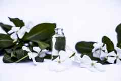 白色彩色的花叶子至关重要的有机本质小透明的玻璃瓶孤立的白色