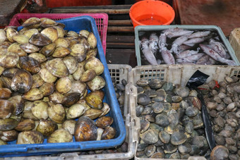 销售新鲜的海鲜鱼旅游吸引力当地的<strong>市场</strong>Jimbaran巴厘岛岛印尼美味的贝壳销售新鲜的血起皱当地的<strong>市场市场</strong>鱼kedonganan