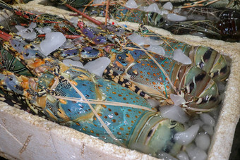 <strong>新鲜</strong>的海鲜出售市场鱼kedongananJimbaran巴厘岛印尼<strong>新鲜</strong>的龙虾销售鱼kedonganan<strong>新鲜</strong>的龙虾冰出售海鲜计数器