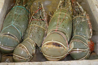 新鲜的海鲜出售市场鱼kedongananJimbaran巴厘岛印尼新鲜的龙虾销售鱼kedonganan新鲜的龙虾冰出售海鲜计数器