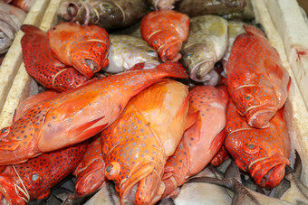 新鲜的海鲜冰Jimbaran<strong>鱼市</strong>场新鲜的鱼红色的石斑鱼销售<strong>鱼市</strong>场Jimbaran红色的新鲜的鱼出售市场鱼kedonganan异国情调的鱼传统的市场