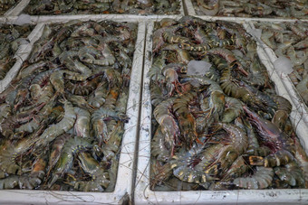 模式<strong>新鲜</strong>的虾销售海鲜计数器Jimbaran市场鱼kedonganan巴厘岛海滩<strong>新鲜</strong>的虾当地的鱼市场群<strong>新鲜</strong>的虾冰出售出售