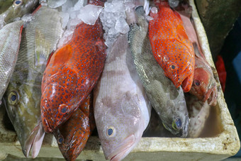 新鲜的海鲜冰鱼市场新鲜的鱼销售鱼市场Jimbaran传统的当地的市场鱼kedonganan异国情调的鱼Jimbaran鱼市场巴厘岛海滩