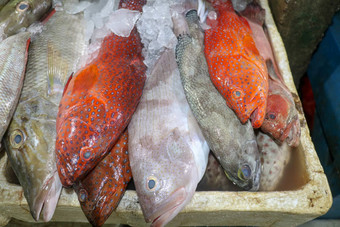 新鲜的海鲜<strong>冰鱼</strong>市场新鲜的<strong>鱼</strong>销售<strong>鱼</strong>市场Jimbaran传统的当地的市场<strong>鱼</strong>kedonganan异国情调的<strong>鱼</strong>Jimbaran<strong>鱼</strong>市场巴厘岛海滩