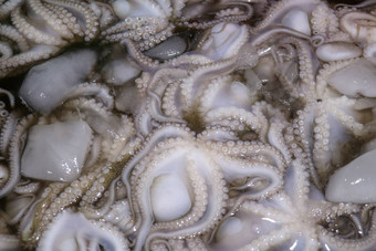 模式新鲜的头足类动物销售海鲜计数器Jimbaran市场鱼kedonganan巴厘岛海滩新鲜的章鱼当地的鱼市场群新鲜的章鱼<strong>塑料箱</strong>冰