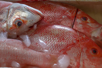 新鲜的海鲜冰Jimbaran鱼市场新鲜的鱼红色的斯内普销售鱼市场Jimbaran红色的新鲜的鱼出售市场鱼kedonganan异国情调的鱼传统的市场