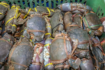 模式新鲜的螃蟹销售海鲜计数器Jimbaran市场鱼kedonganan巴厘岛海滩新鲜的螃蟹当地的鱼市场群新鲜的螃蟹塑料航空公司出售