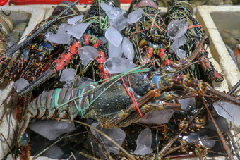 新鲜的海鲜出售市场鱼kedongananJimbaran巴厘岛印尼新鲜的<strong>龙虾</strong>销售鱼kedonganan新鲜的<strong>龙虾</strong>冰出售海鲜计数器