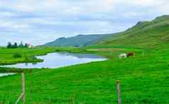 农村景观东北冰岛